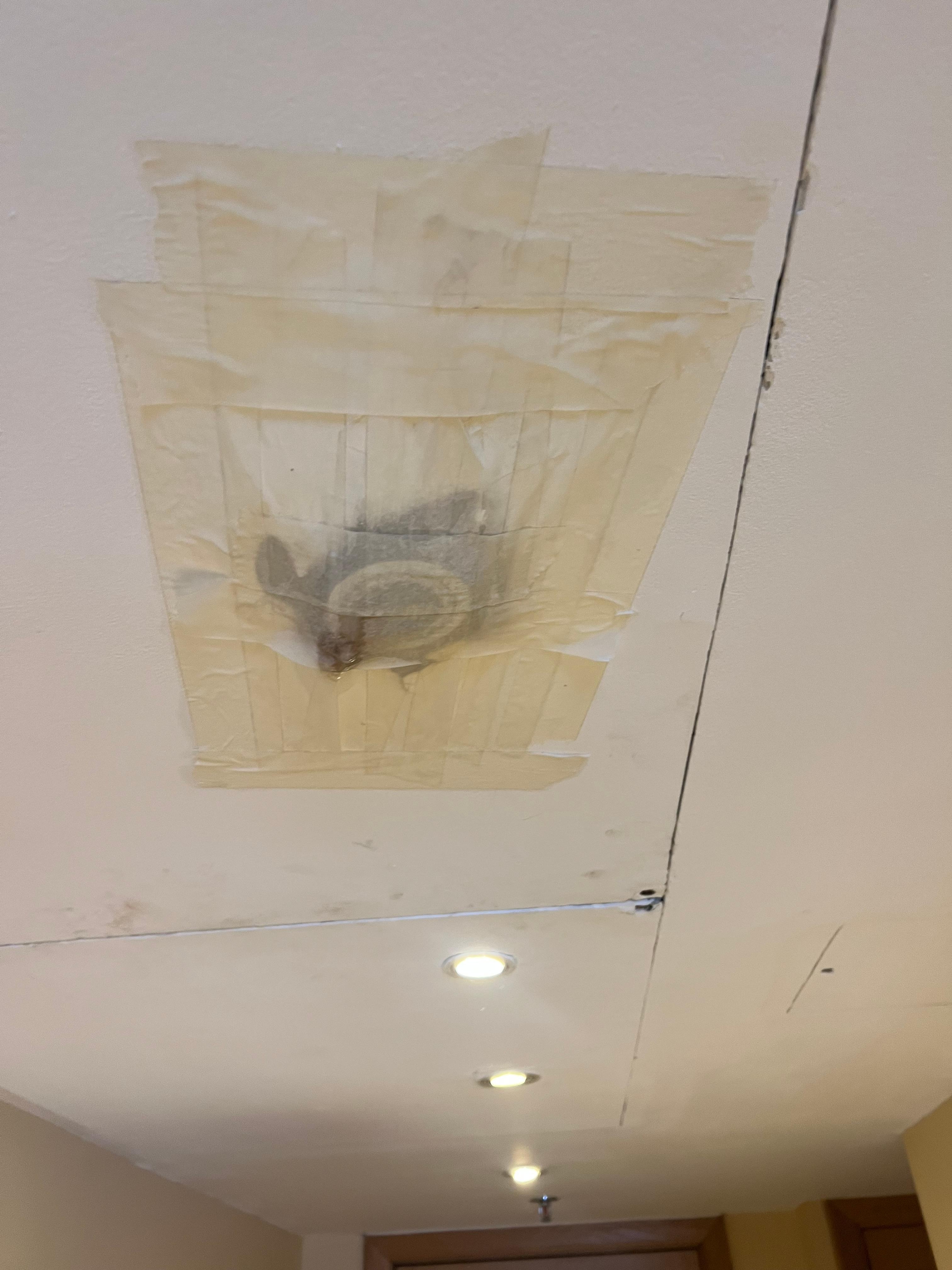 Pre existing damage and Leak through ceiling light onto tiled floor