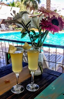 Pisco sour artesanal en la terraza