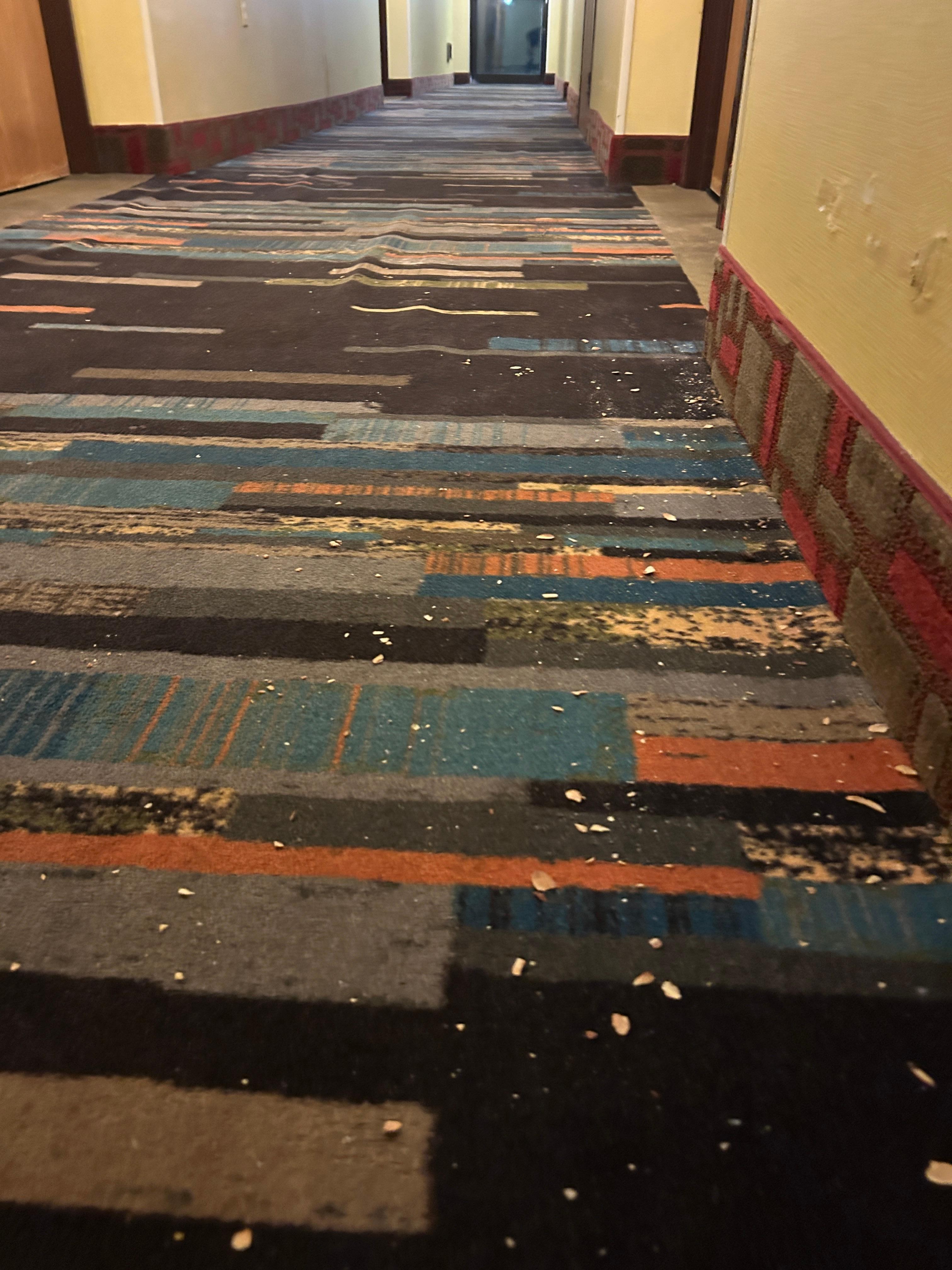 Crumbs on the floor for days and pulled carpet, the place is a dump for 125$ a night