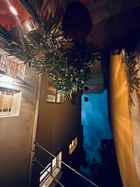 Night sky from the private garden backyard