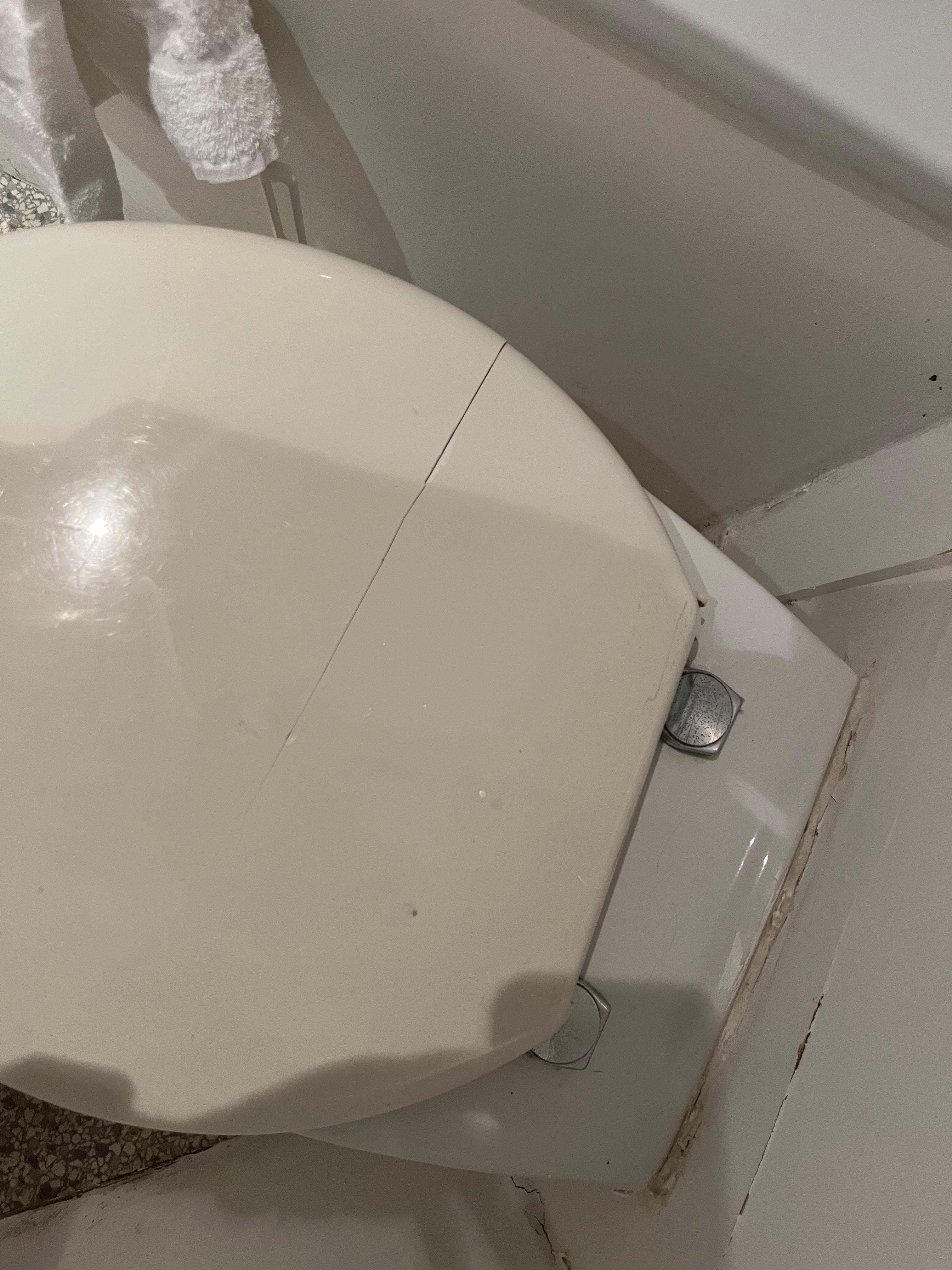 Toilet lid broken 