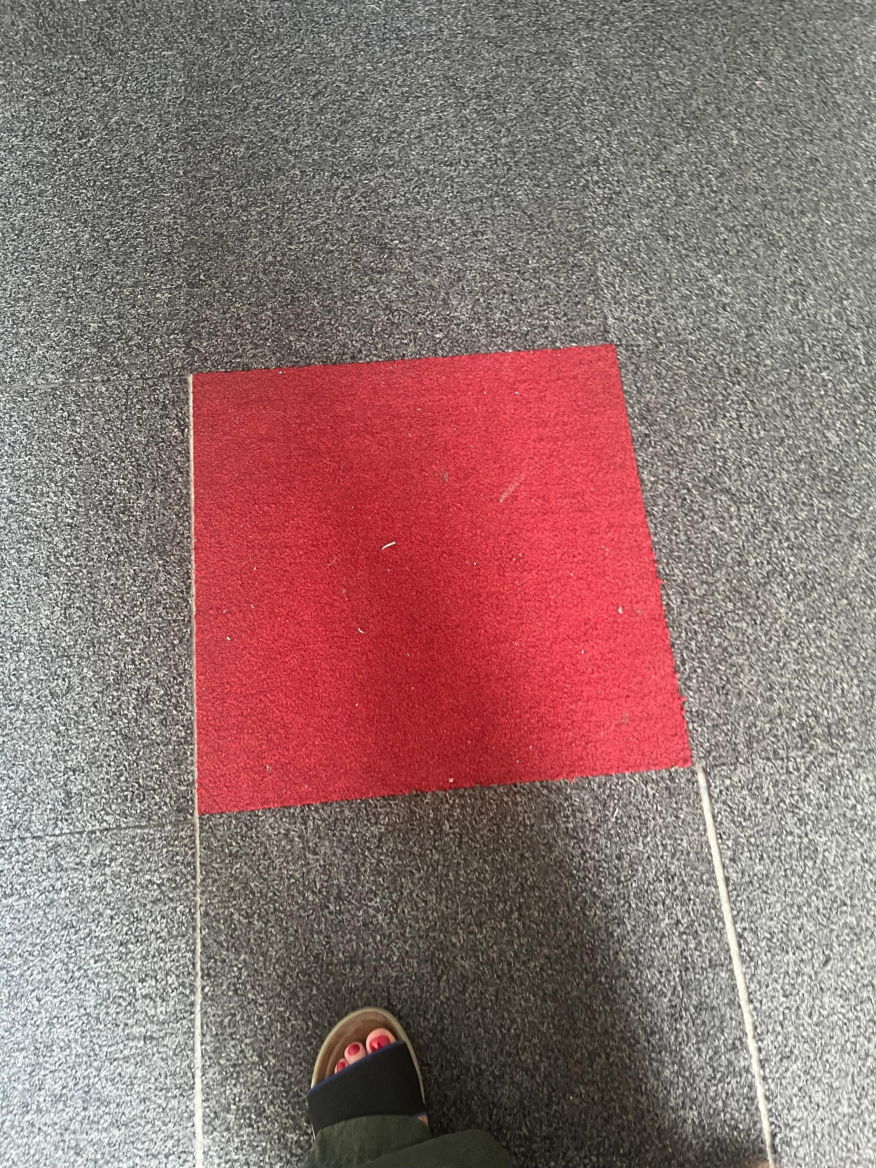 Dirty carpet in the hall. 