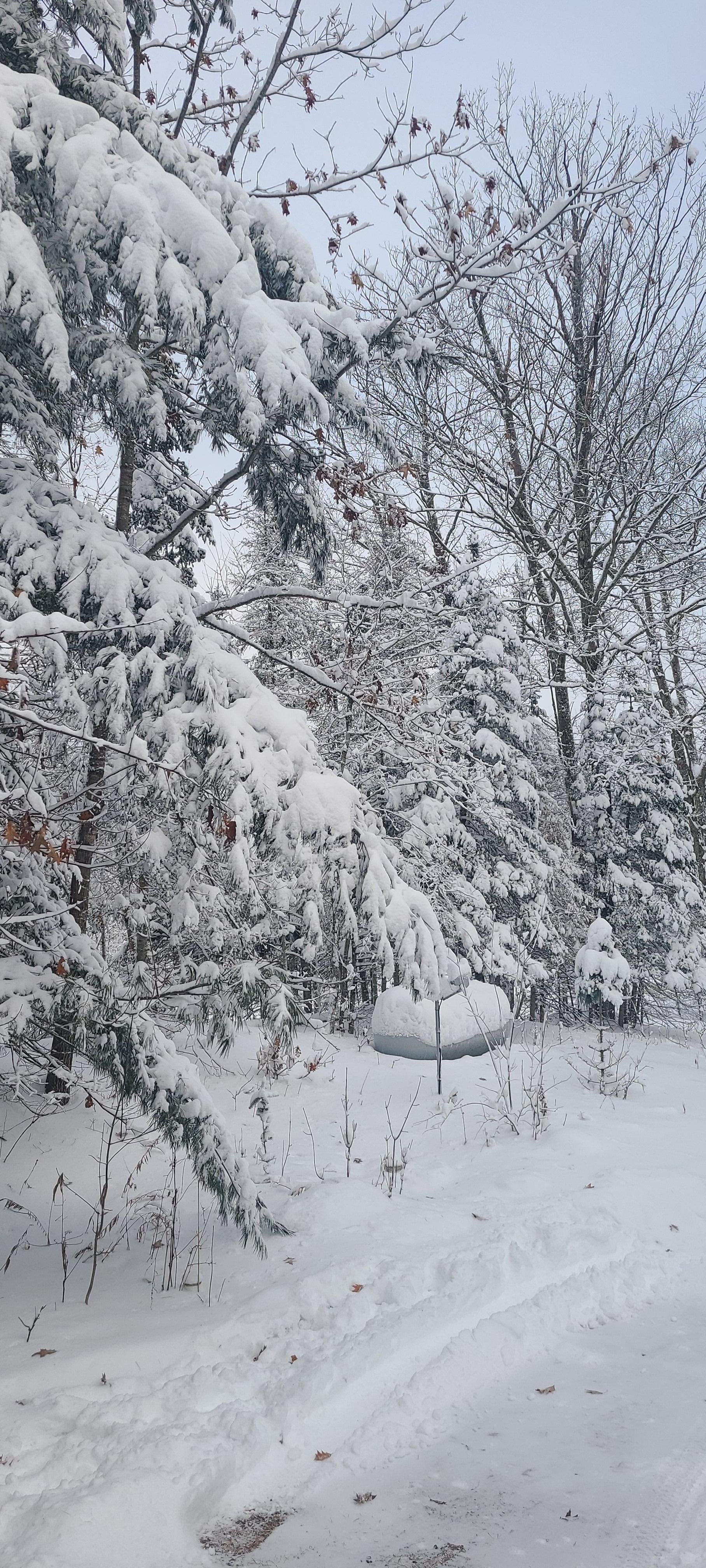 The beauty of 10+ inches of fresh snow.