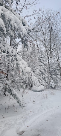 The beauty of 10+ inches of fresh snow.