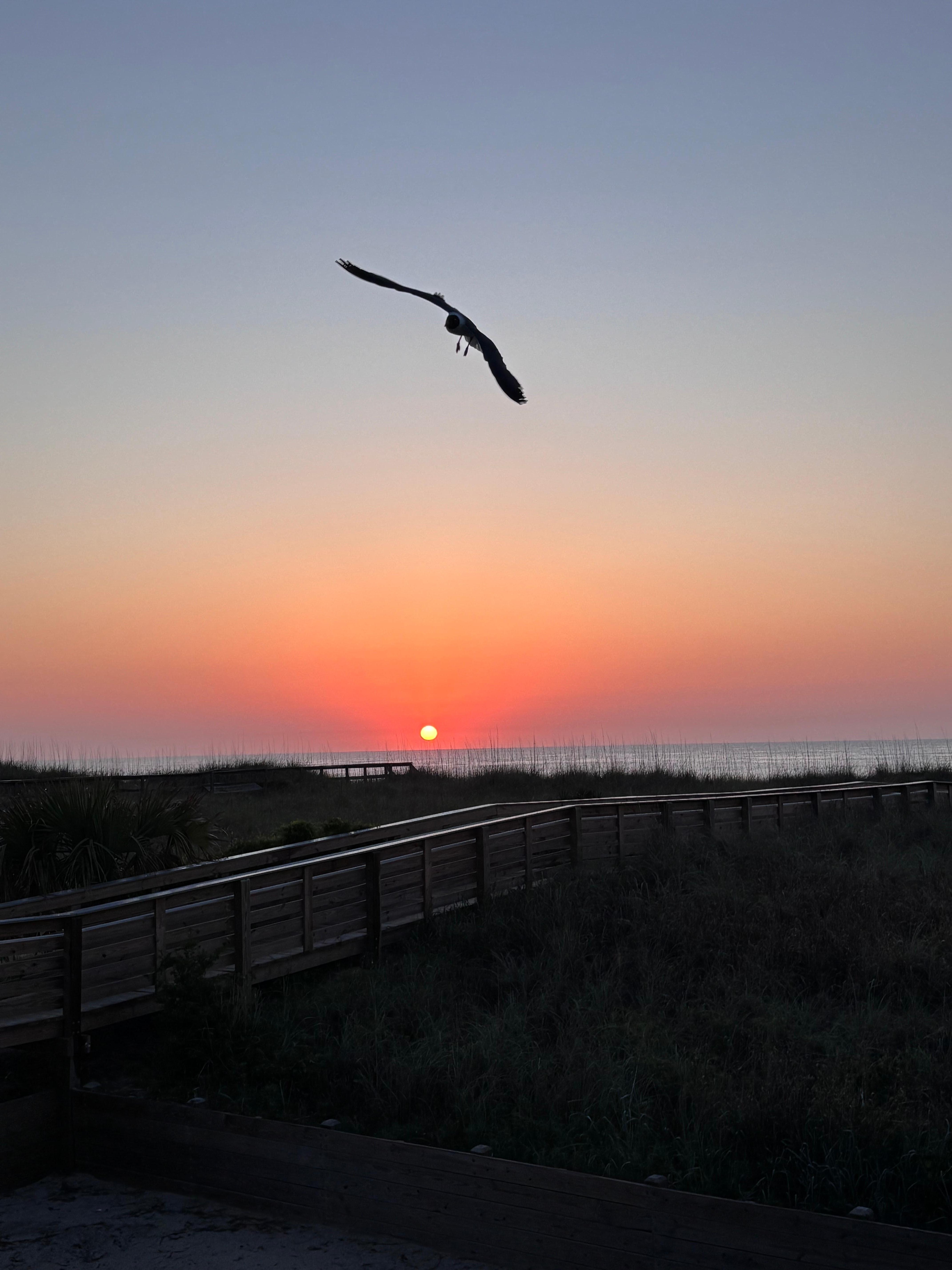 Morning sunrise from the deck