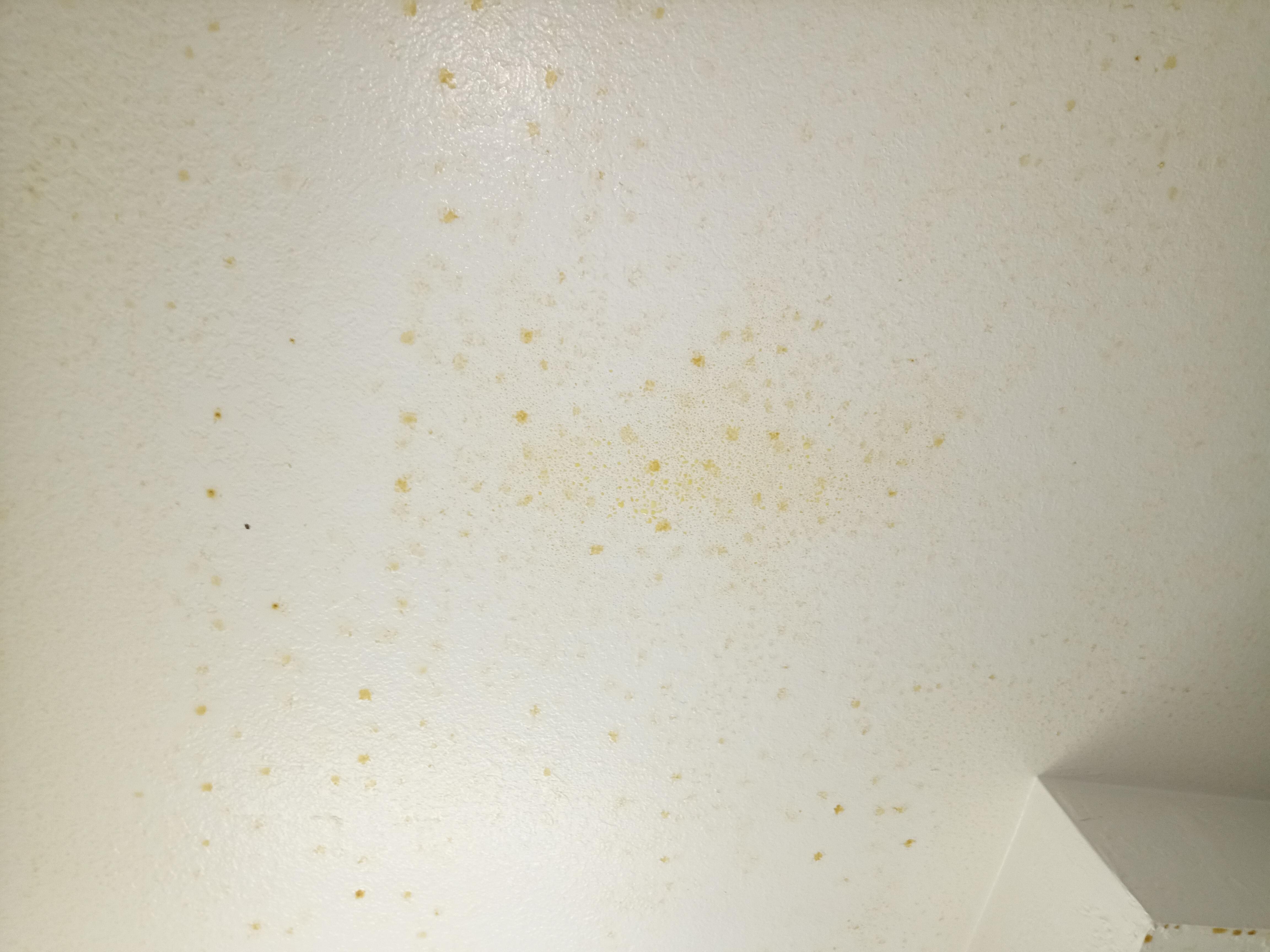 Nicotine/tar on the ceiling in the bathroom.