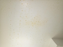 Nicotine/tar on the ceiling in the bathroom.
