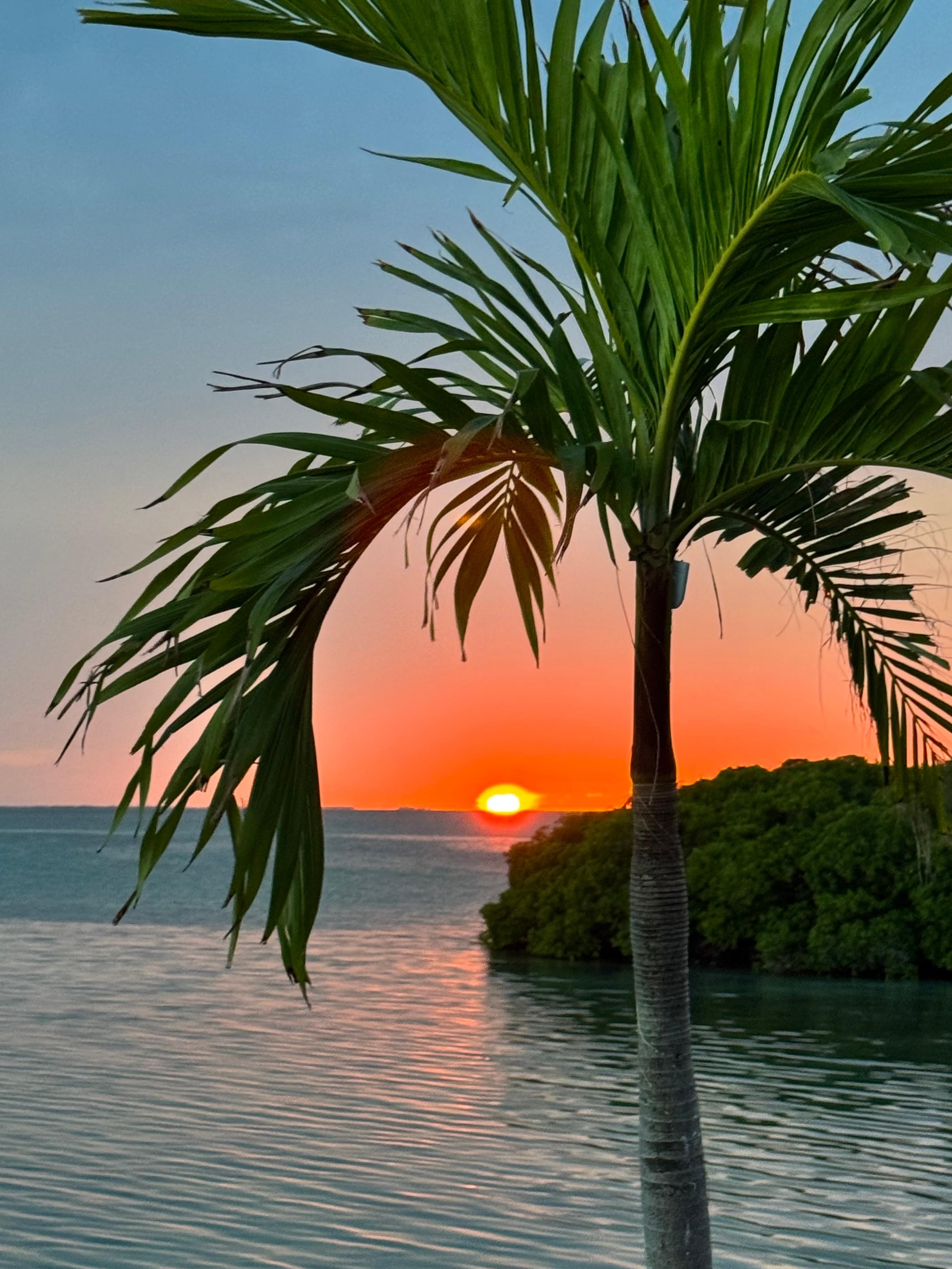 Sunset from the restaurant. There’s also a separate bar or you can dine in your room or on the beach.