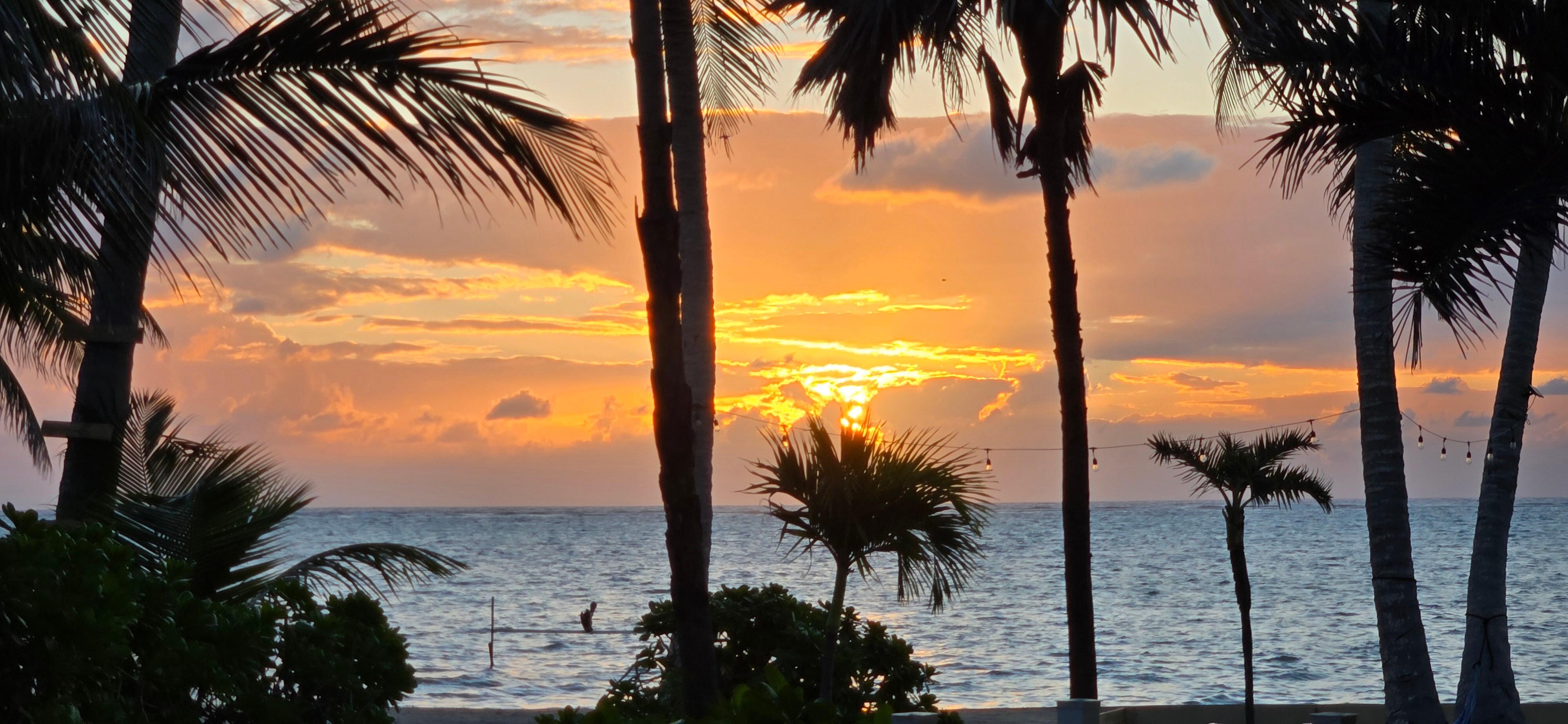 Morning shots! Three different days.