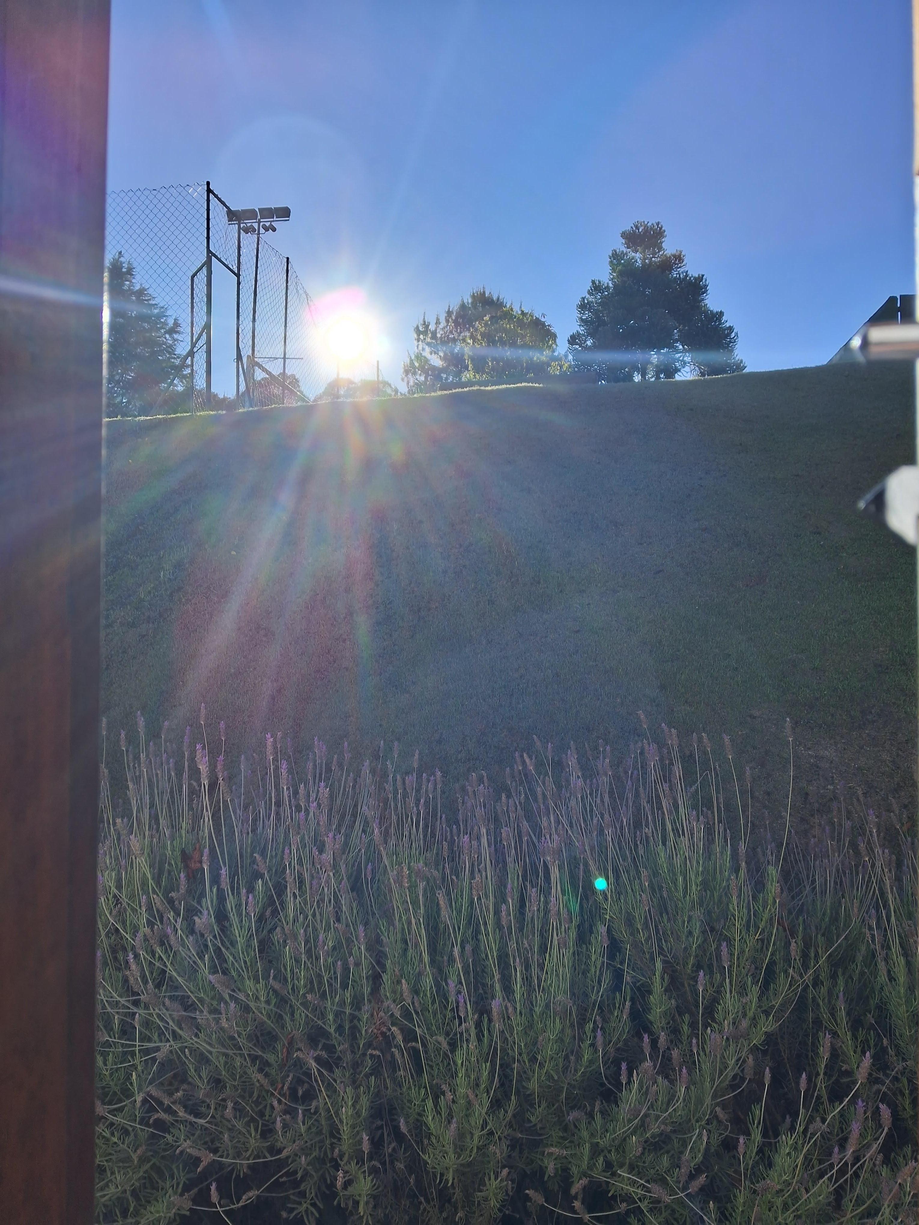 Vista da janela do quarto lavandas 