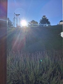 Vista da janela do quarto lavandas