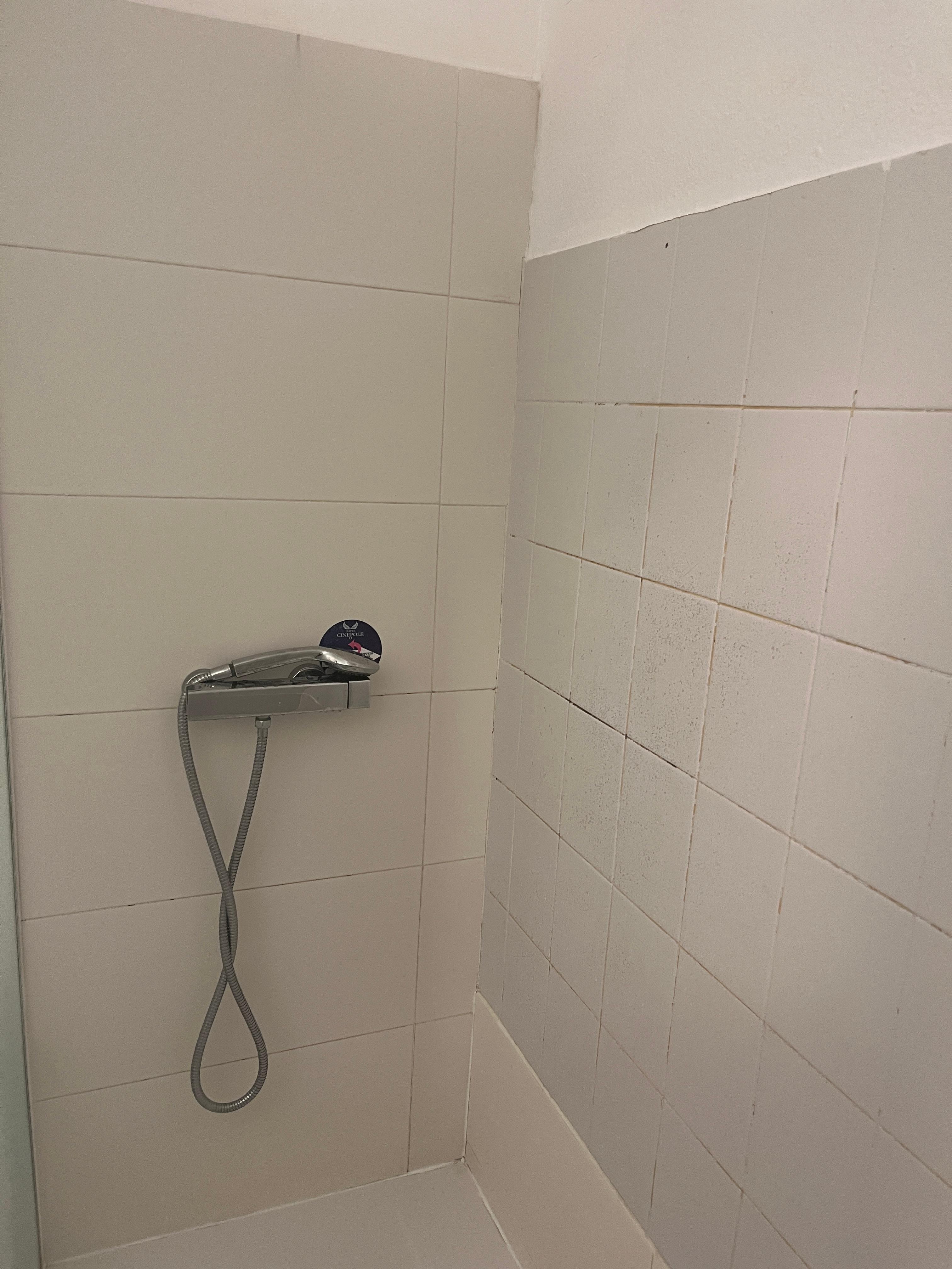 Only handheld shower - no hooks of any kind