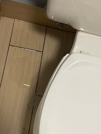 The toilet leaked water