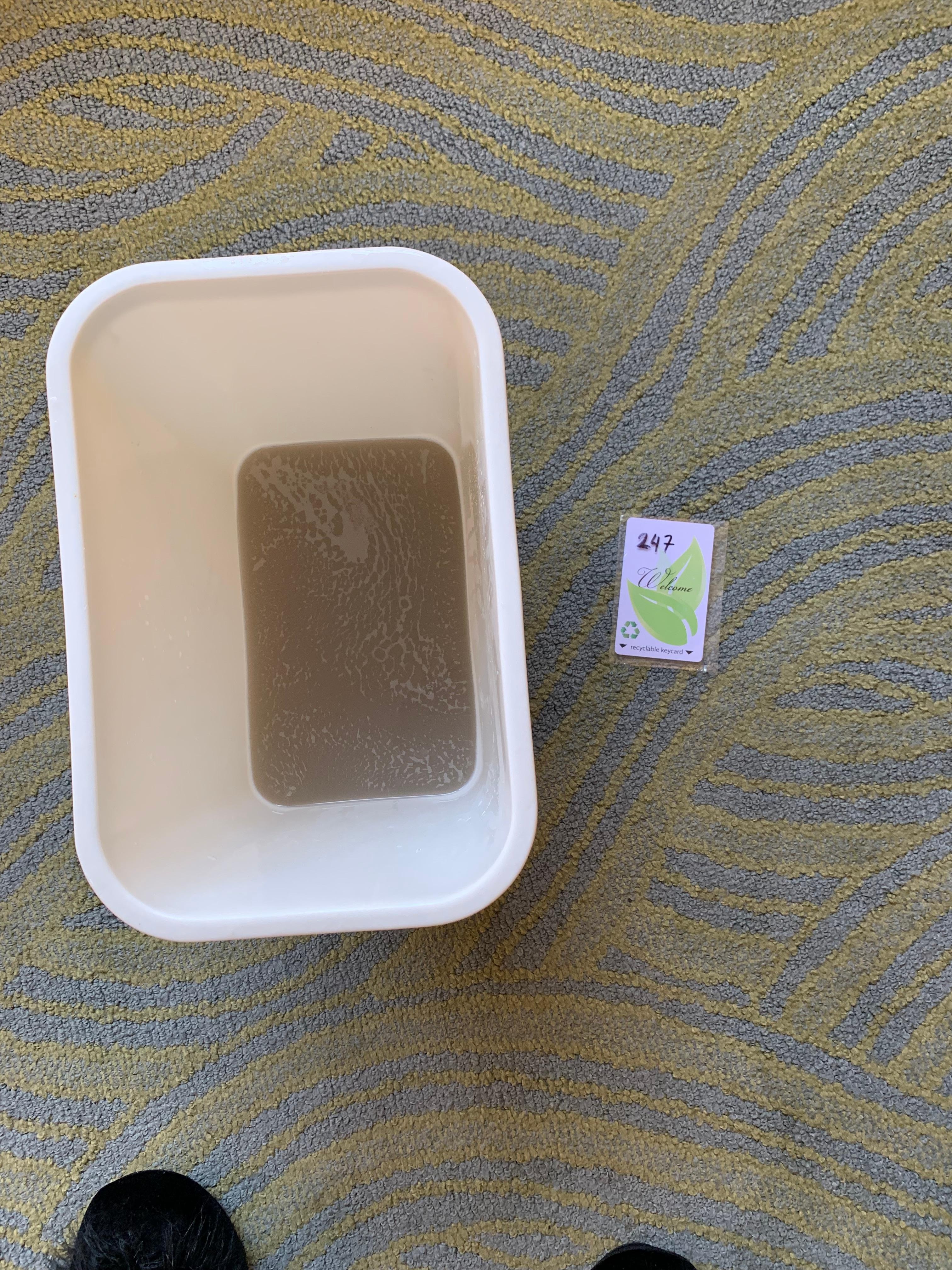 This is the dirty water that came from the carpet after I hand cleaned half of the carpet