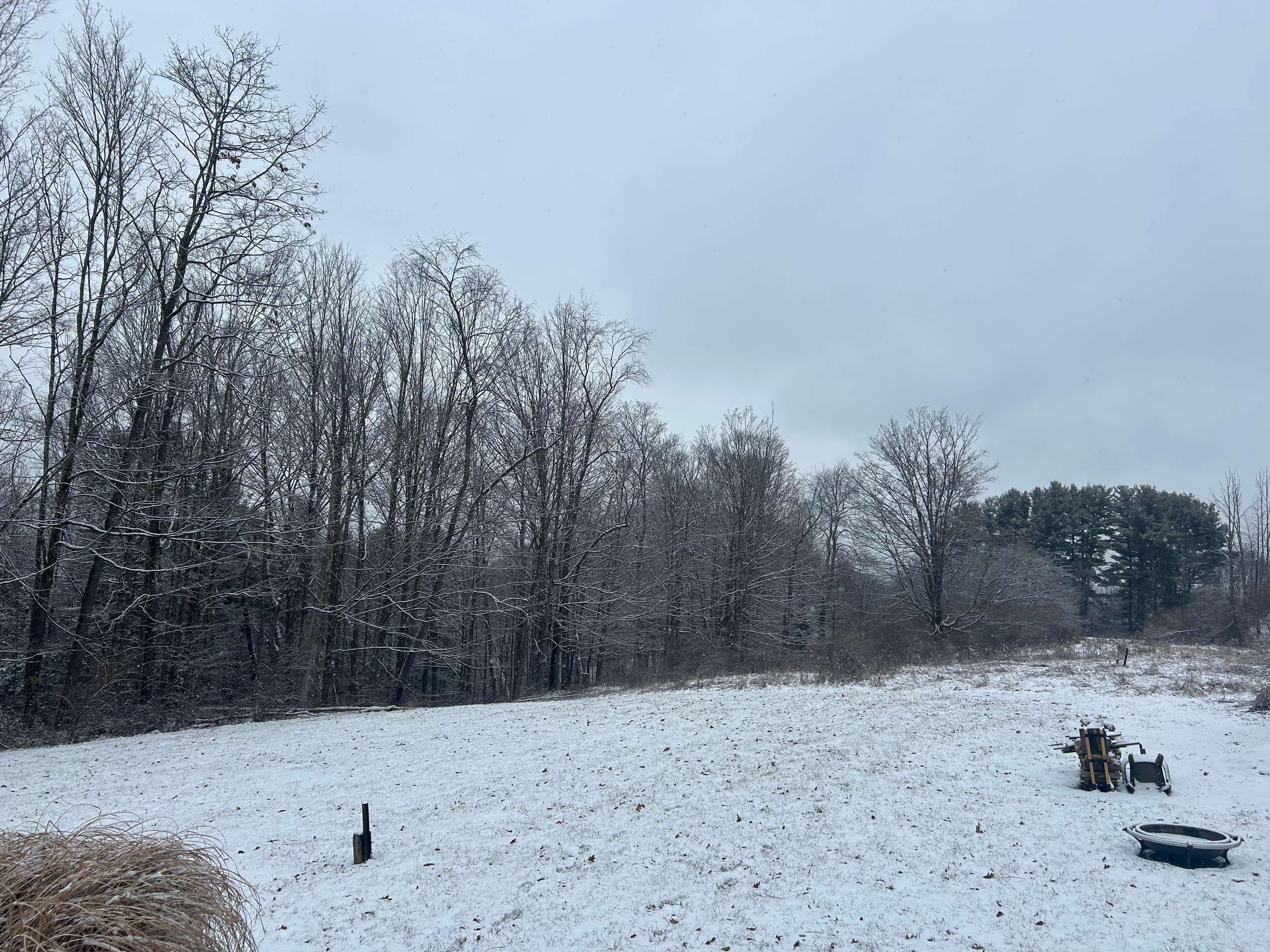 The back view after a dusting of snow.