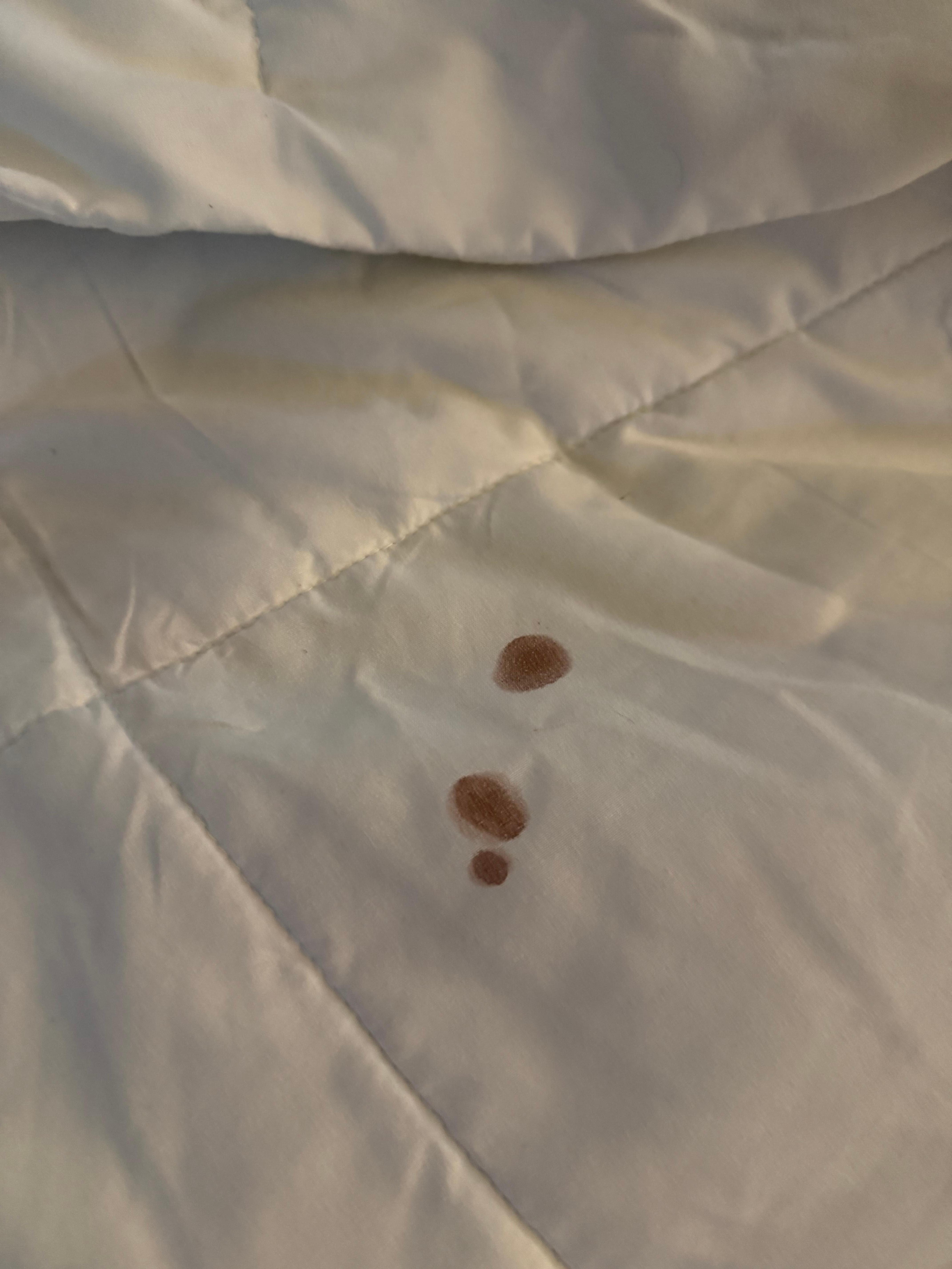 Bedding upon arrival 