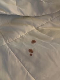 Bedding upon arrival