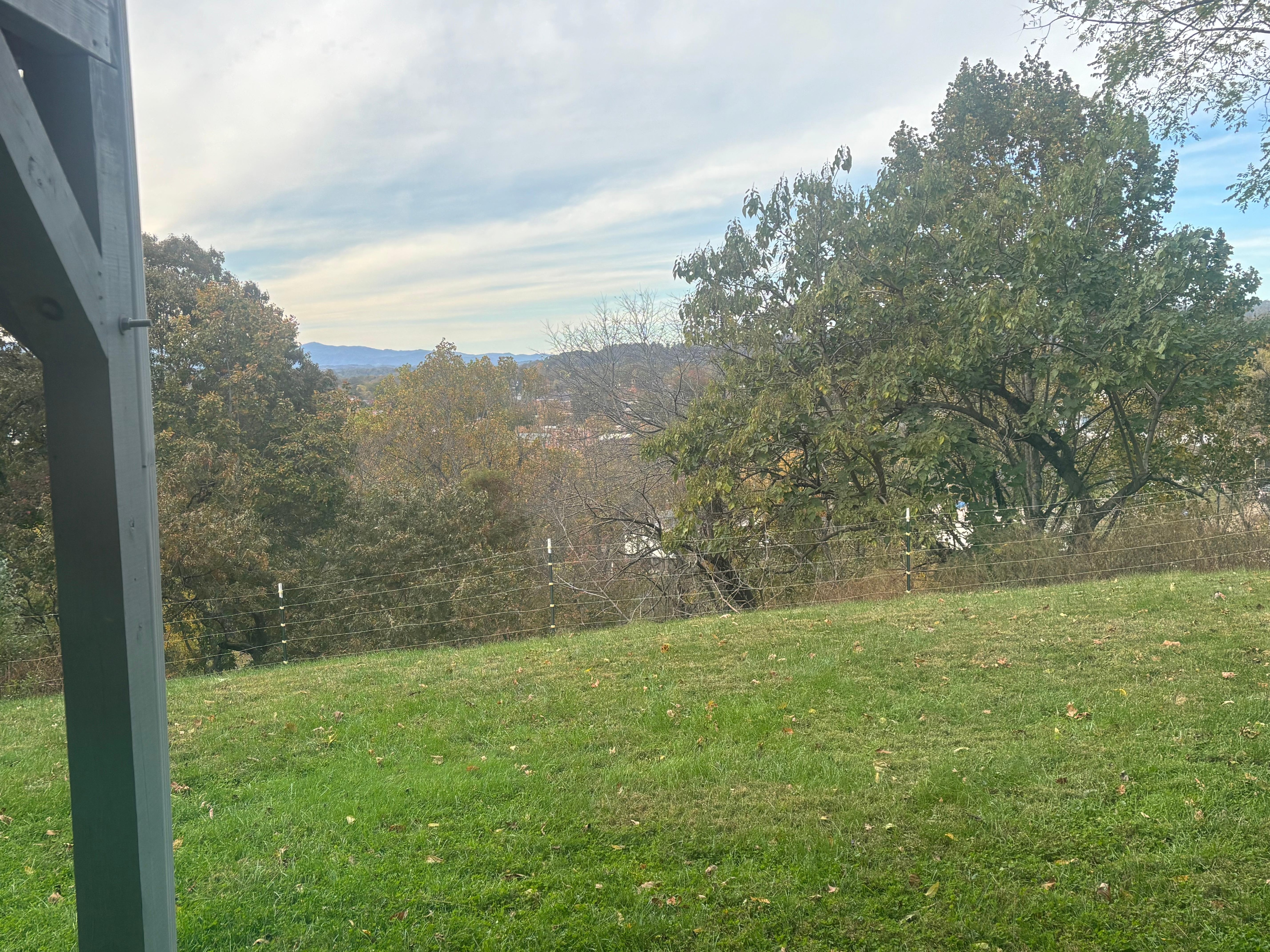 A beautiful, secure back yard.