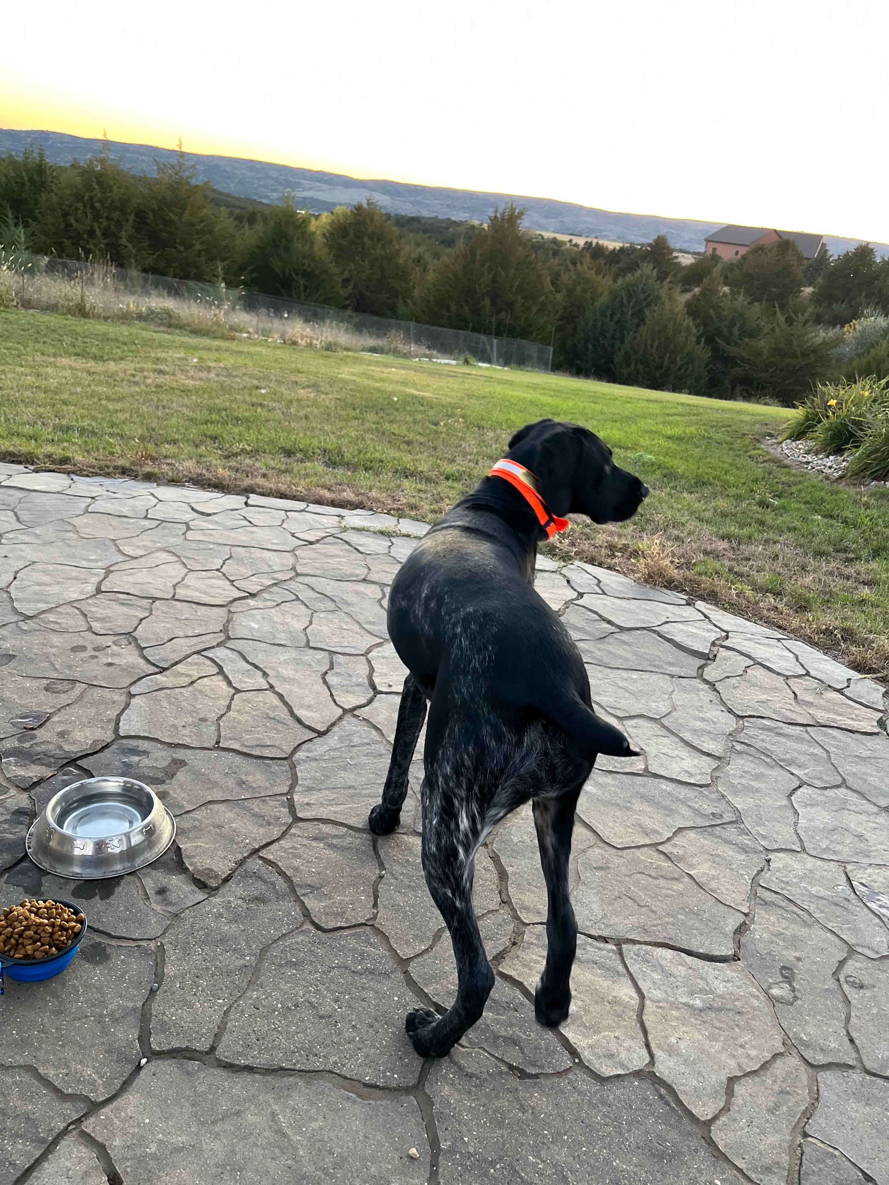Front yard near the fire pit. Wonderful view with great area to sit with my hunting dog.