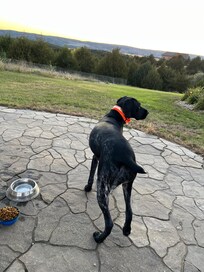 Front yard near the fire pit. Wonderful view with great area to sit with my hunting dog.