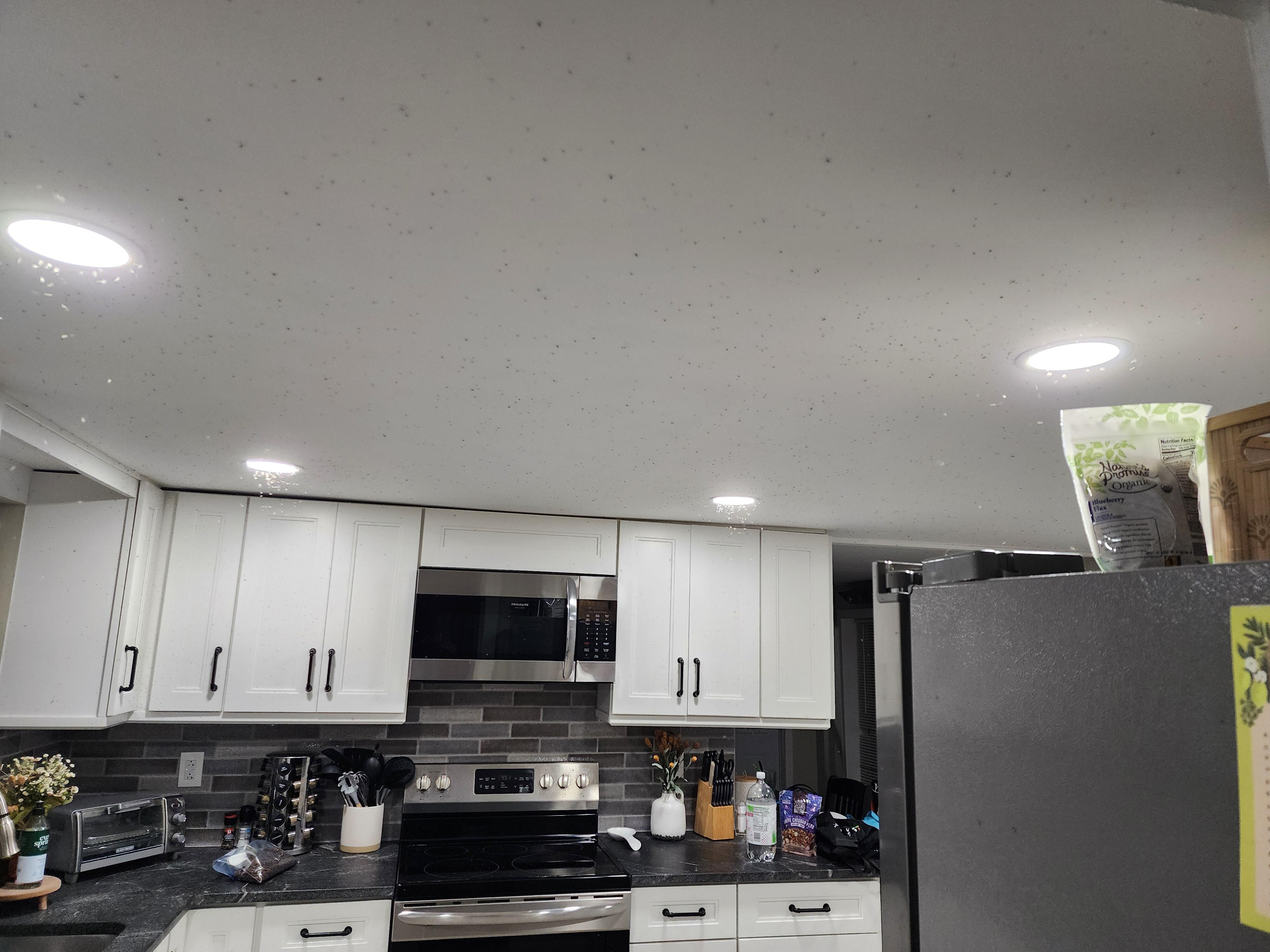 Picture of the bugs