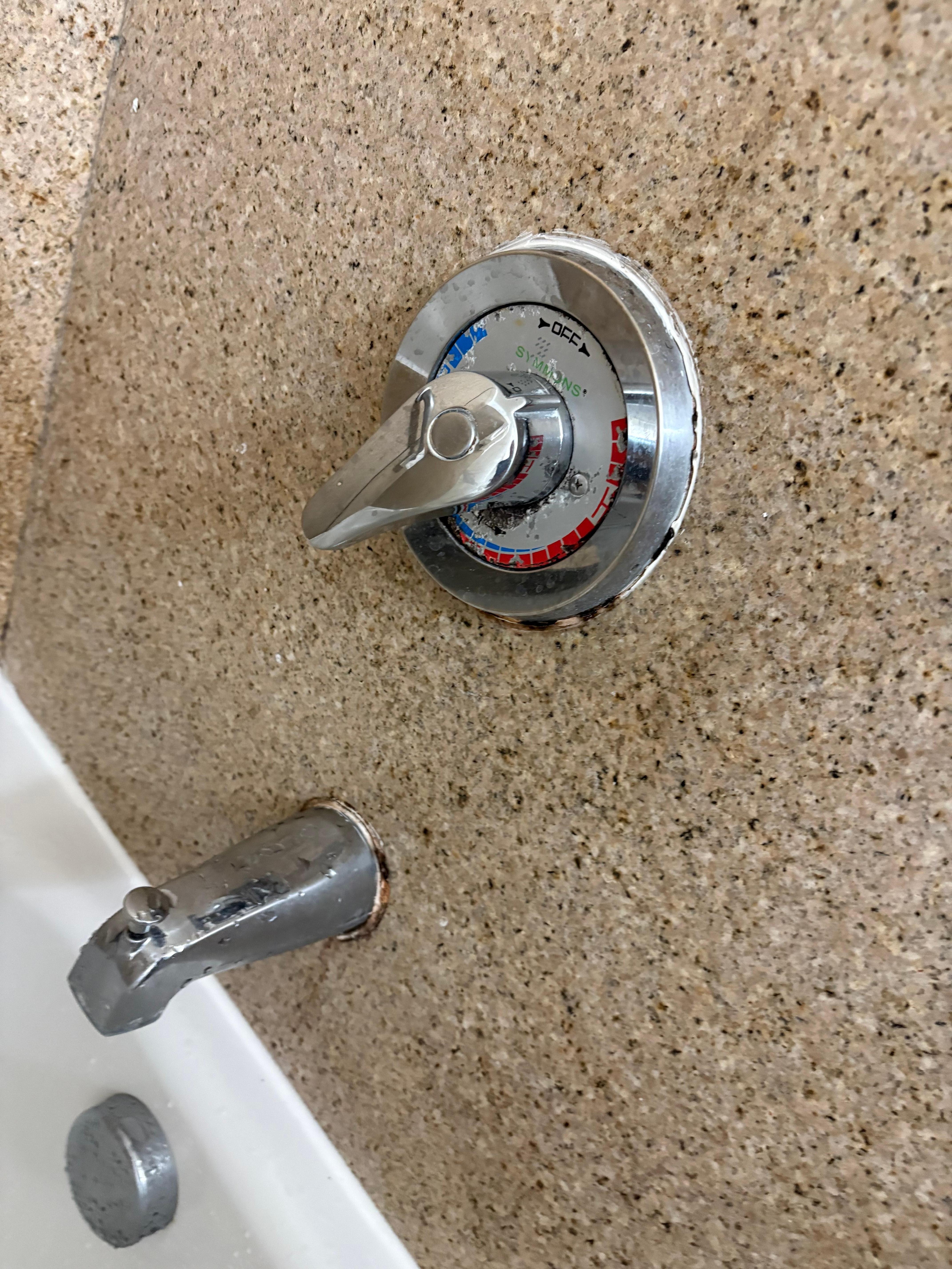 Moldy shower valve