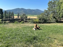 Our pup enjoying the lush grass in the yard.