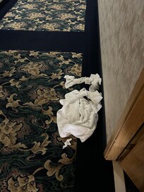 Trash and towels outside my room as I checked in and the following morning as I left.