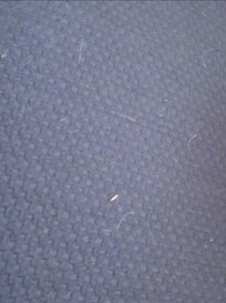 Hair on couch