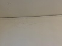 Cow webs in the ceiling