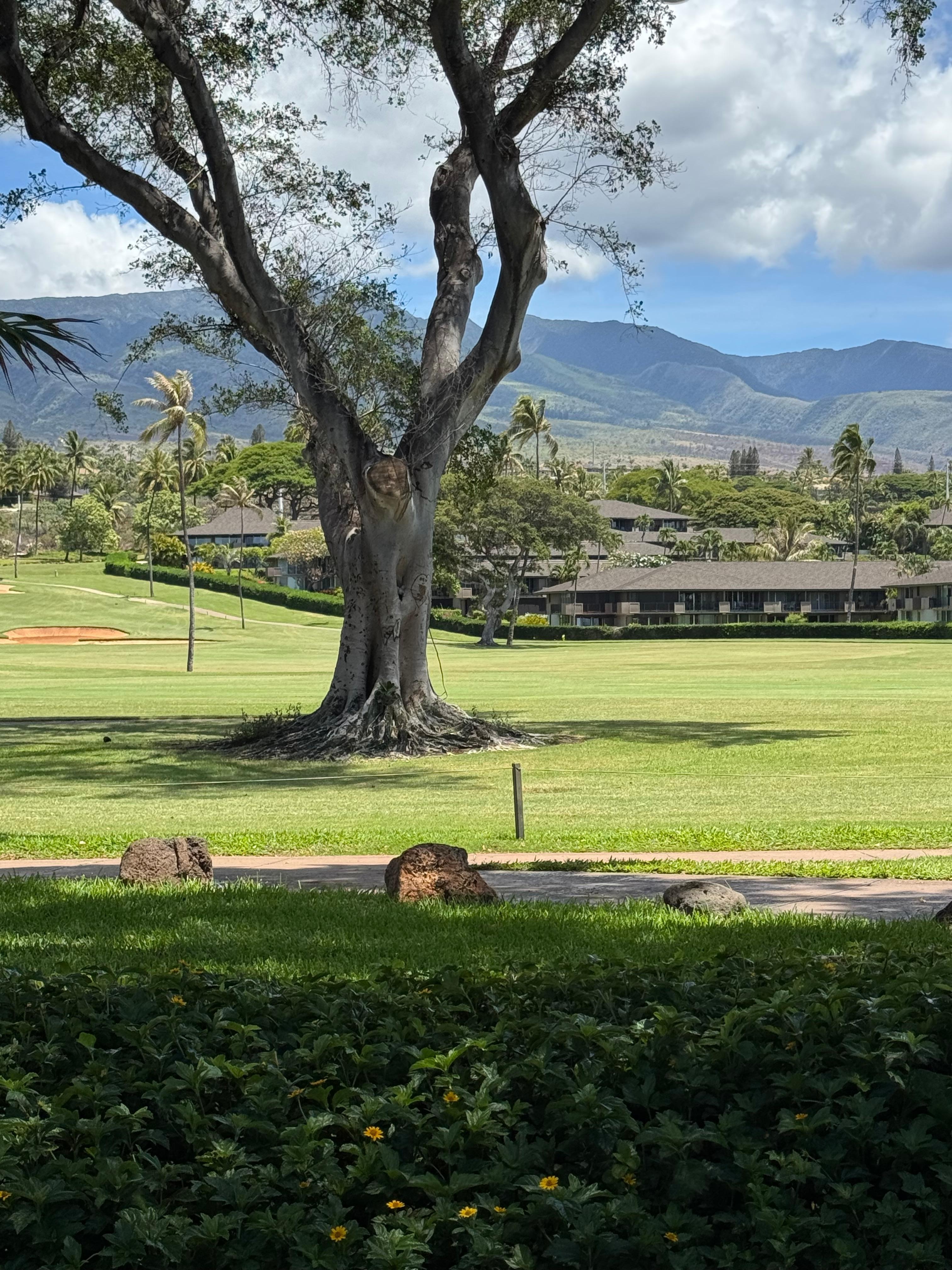 Great golf views  and ocean views. 