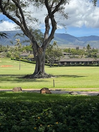Great golf views  and ocean views.