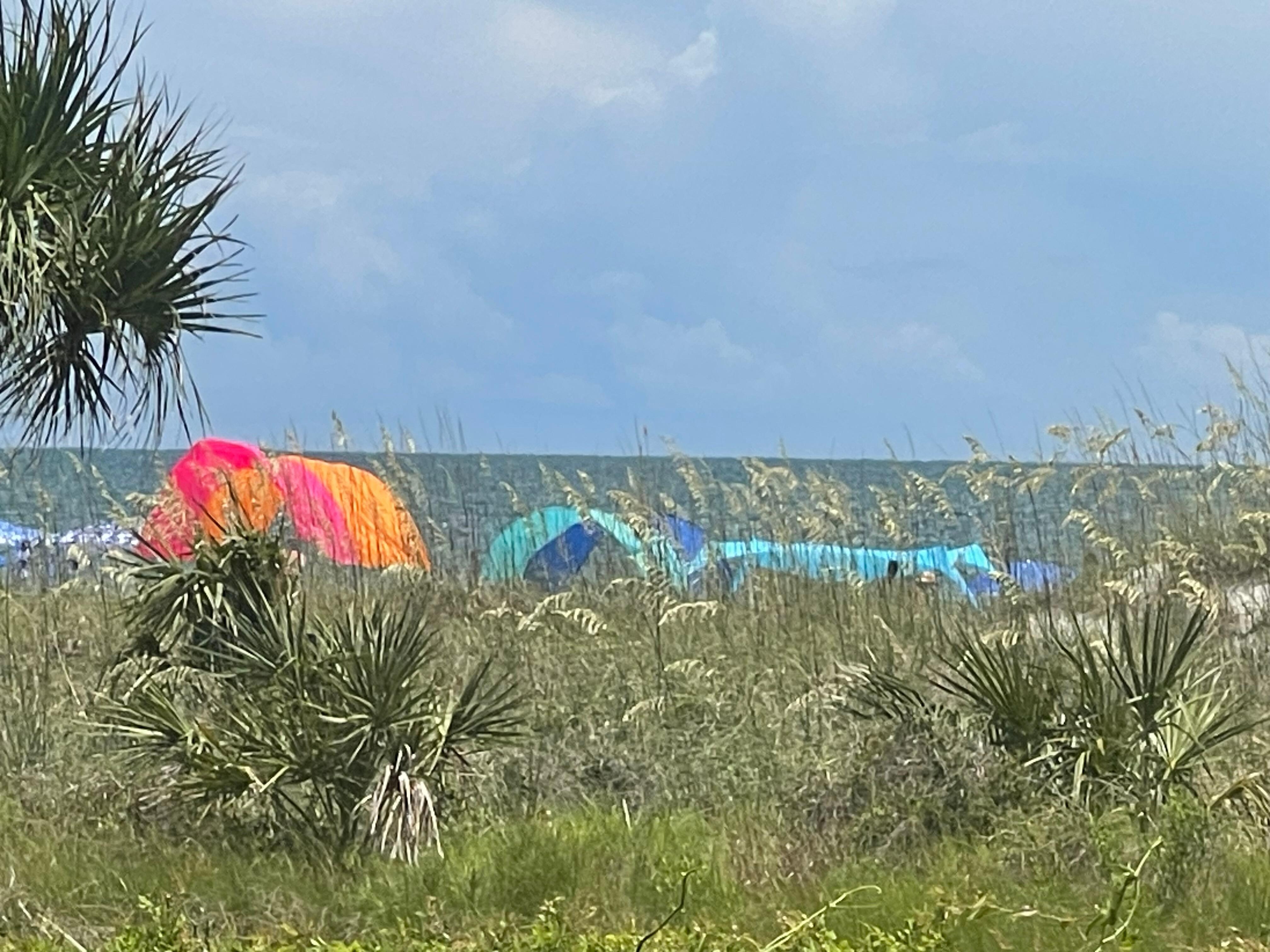 The beach