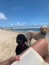 Dogs enjoyed their holiday. A great location to enjoy time with them.