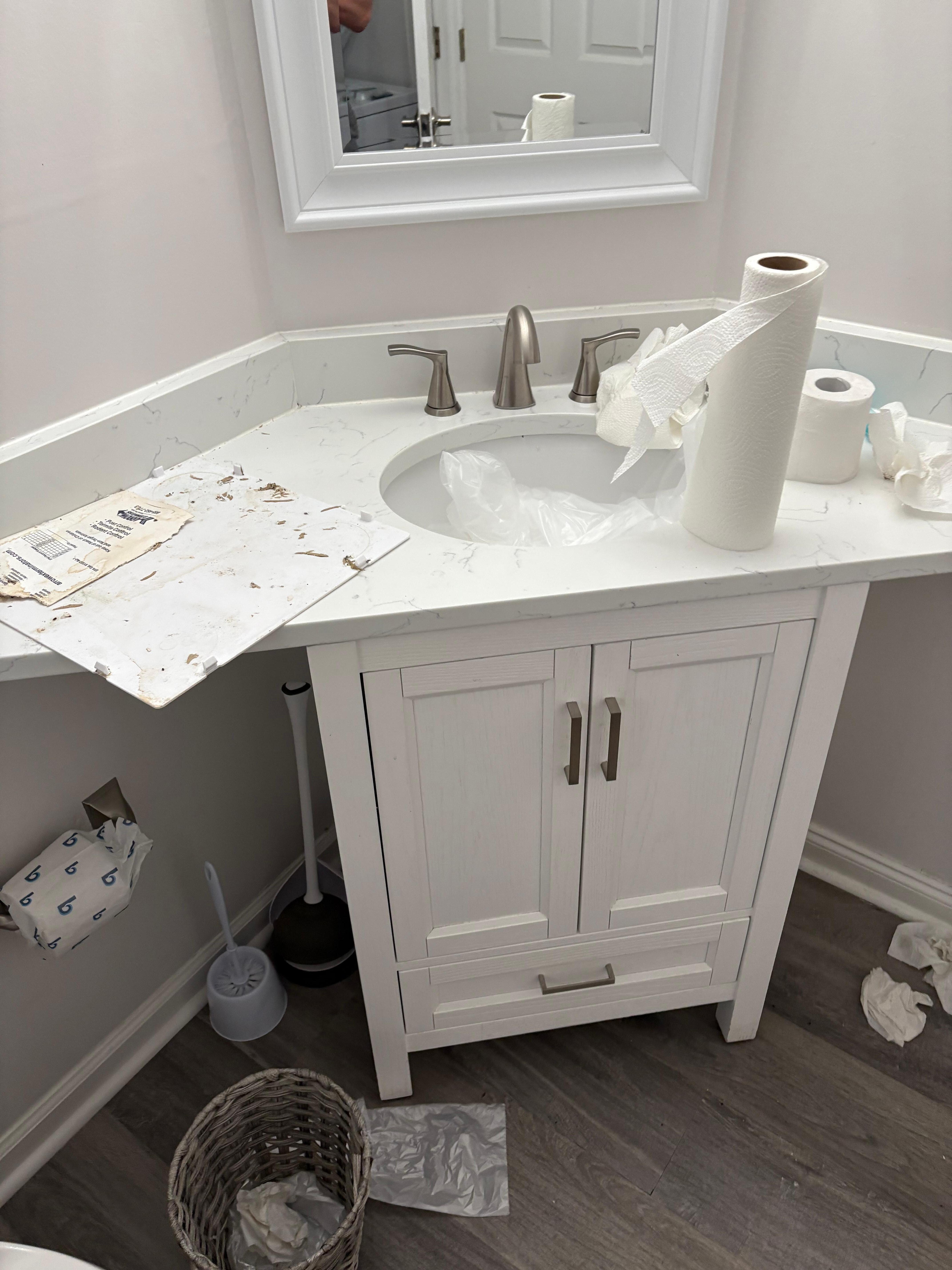 Bathroom not working and a construction zone