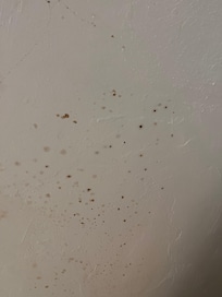 Mole or grease on ceiling in kitchen