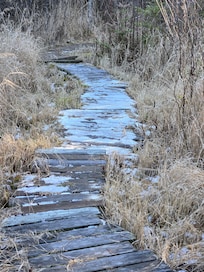 Part of the walkway to the lake.