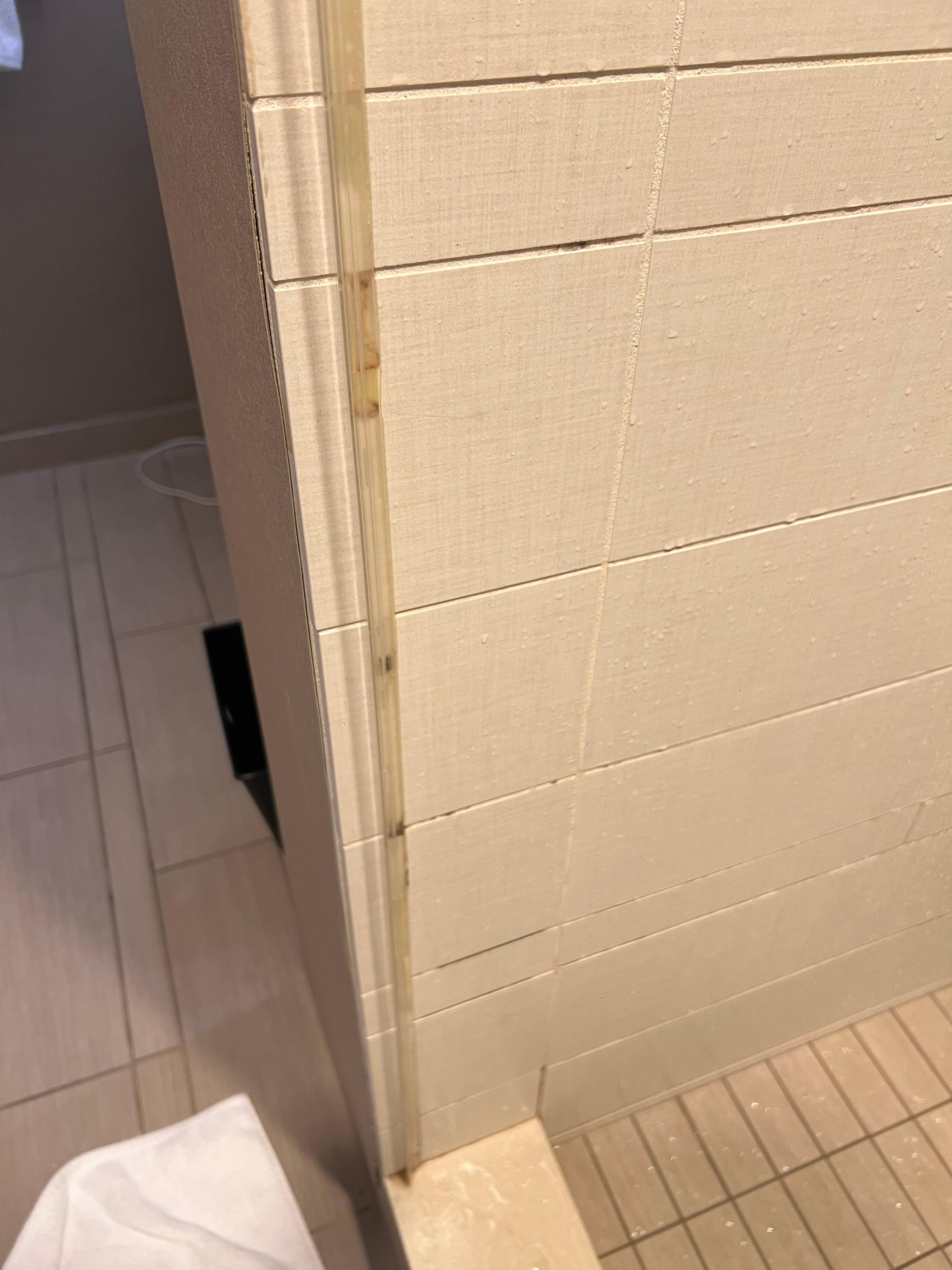 Mold in the shower