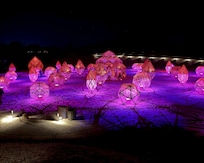 Dimensions at Sensorio.