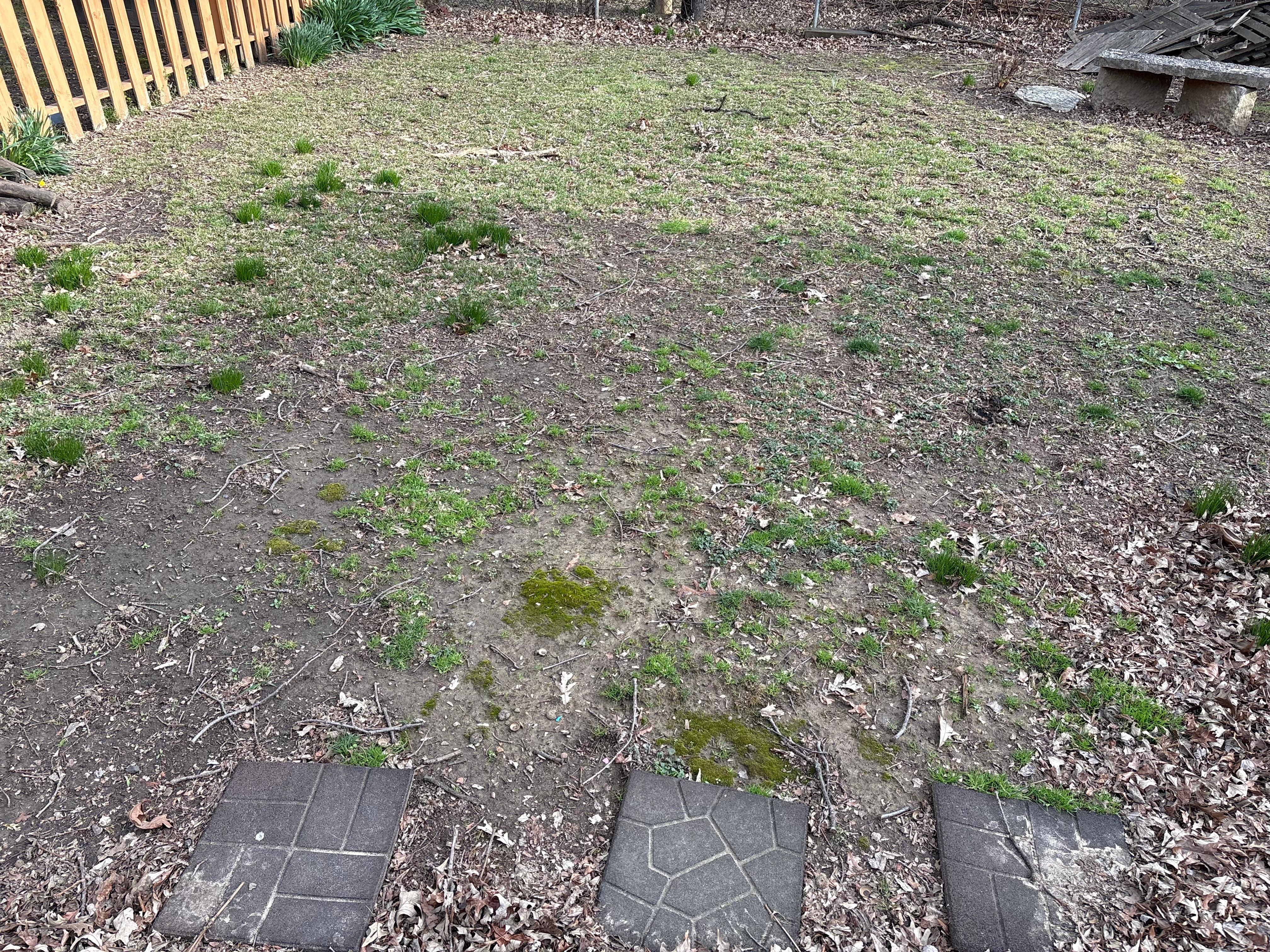 Back yard - little grass - mostly dirt/mud
