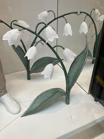 Shop window near the apartment