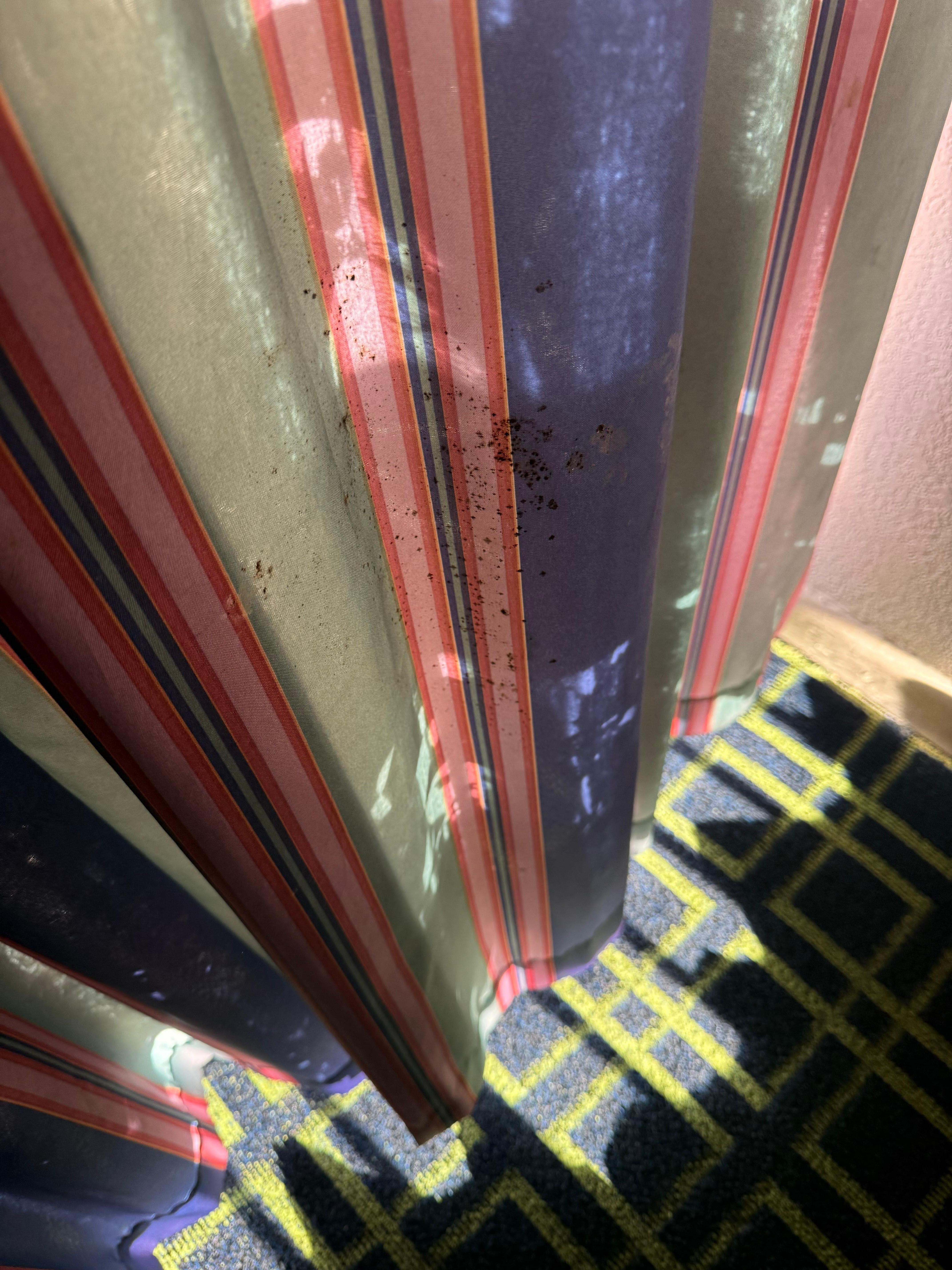 Mold on the window drapes. 