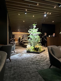 View from Executive Lounge.