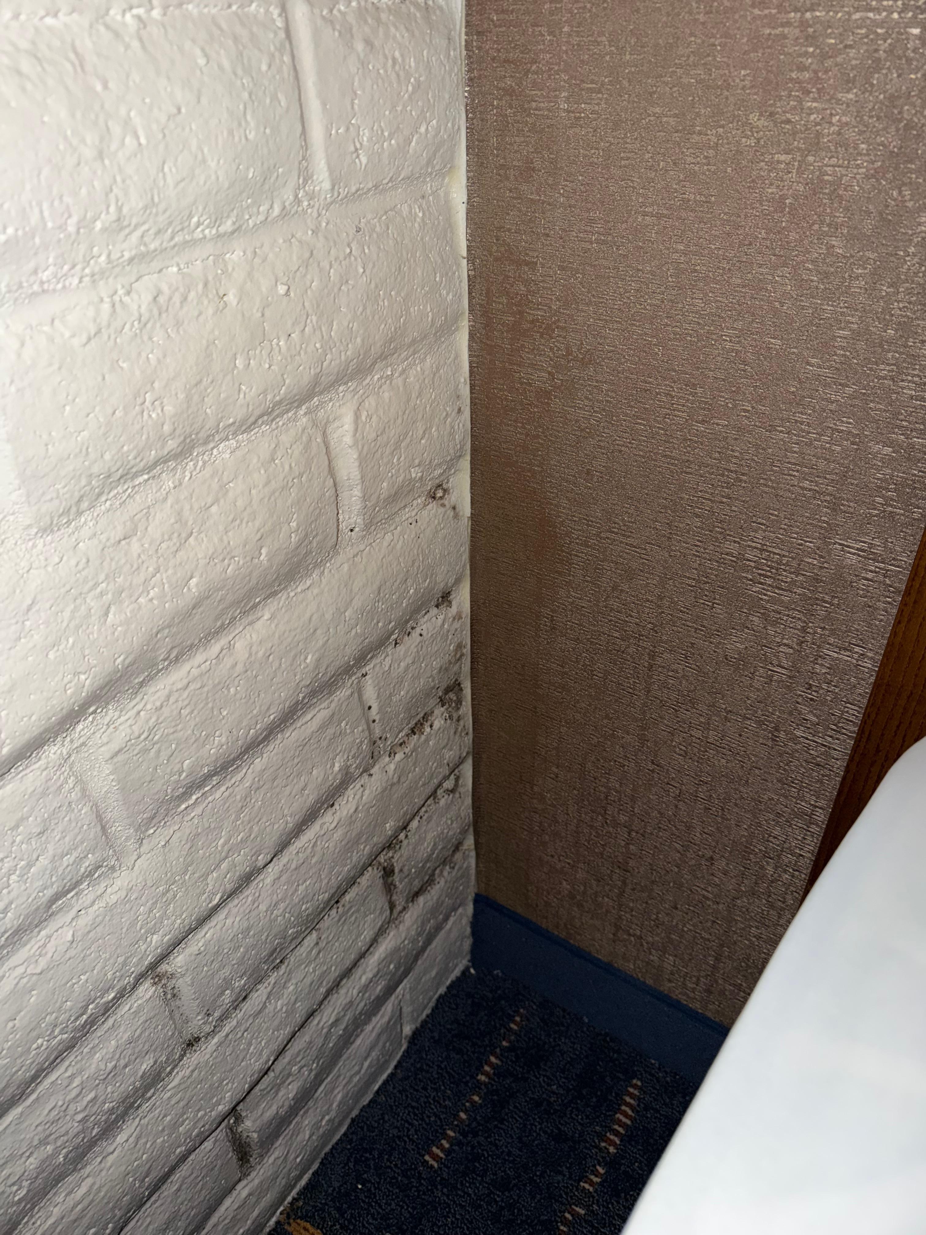 Mold in room 