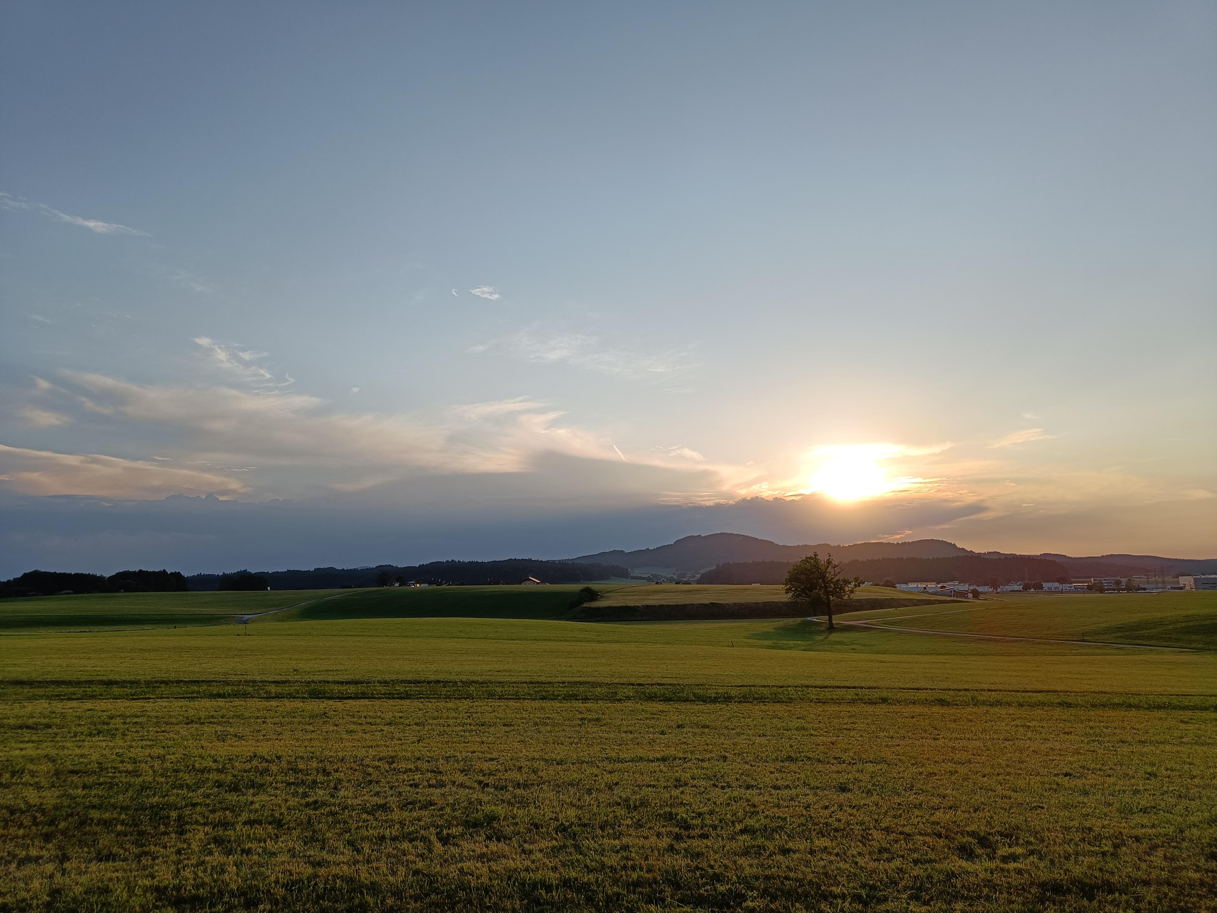 Blick in den Sonnenuntergang 
