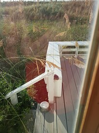 out back door