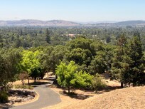 View from picture window.