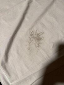 Dirty sheets