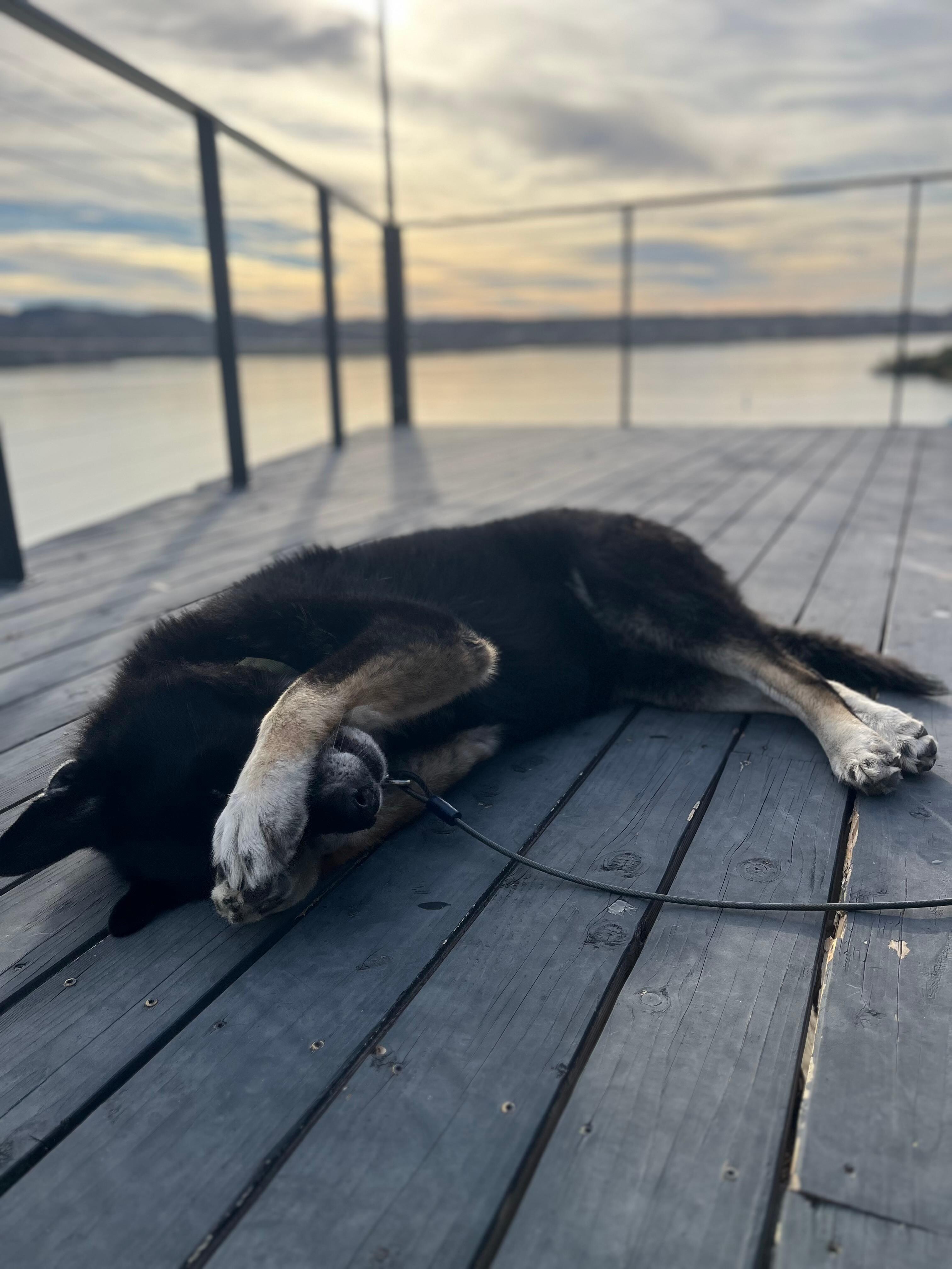 Feeling bashful 🤭 