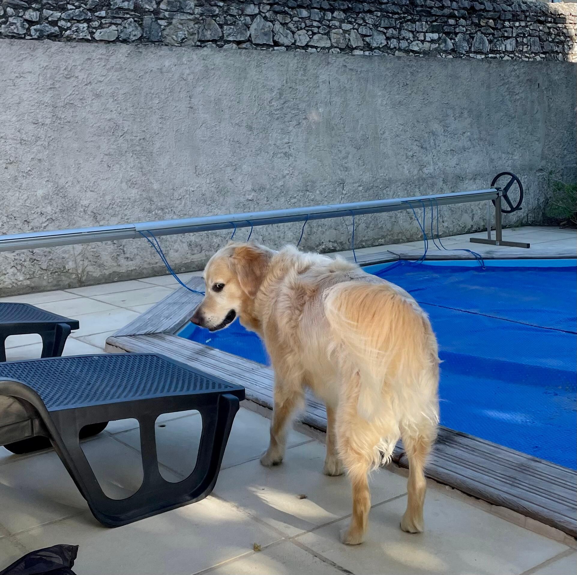 Covered pool
